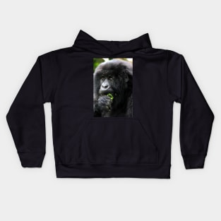 Juvenile Mountain Gorilla Eating, Kwitonda Group, Rwanda, East Africa Kids Hoodie